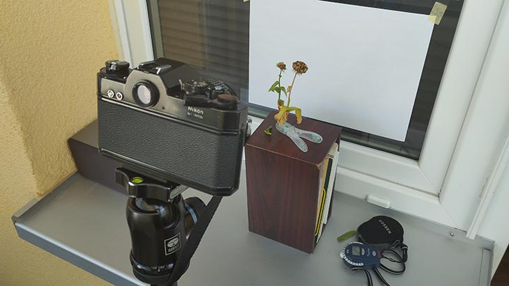Kamera und Aufbau um eine Blume zu fotografieren