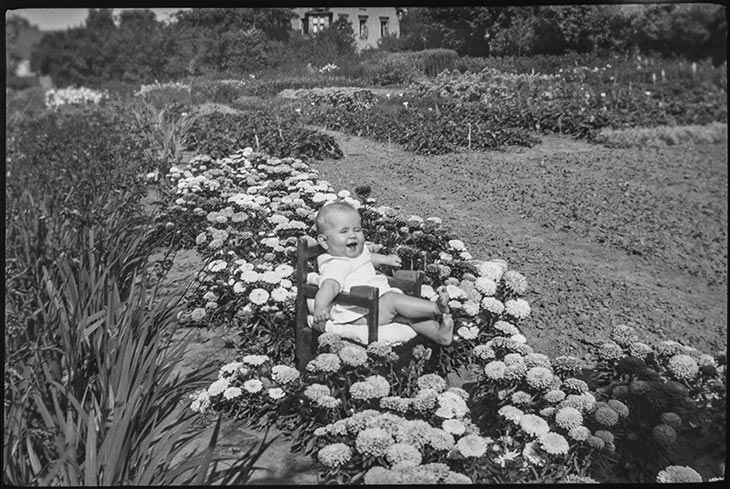 Kind inmitten von Blumen