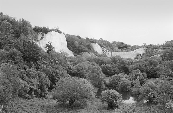 eine Landschaft mit Kreidefelsen, Bäumen, Sträuchern und einem Tümpel