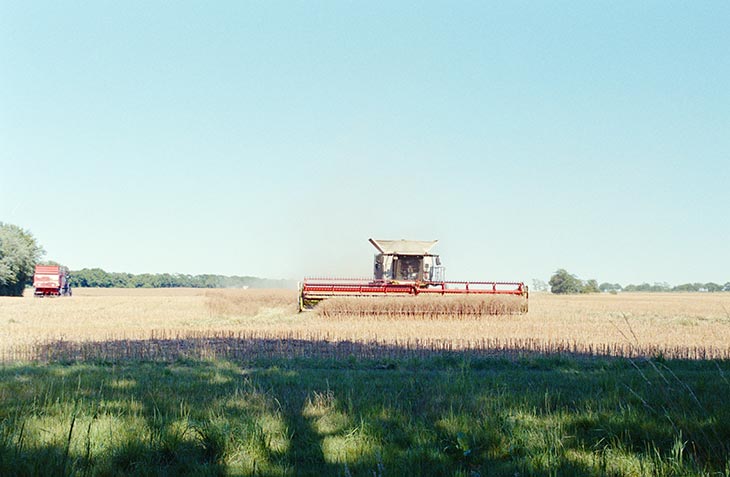 ein Mähdrescher auf einem Feld im Sommer