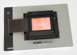 ein Farbnegativ in einer Buchbildbühne auf einer Leuchtplatte zum Abfotografieren mittels Digitalkamera