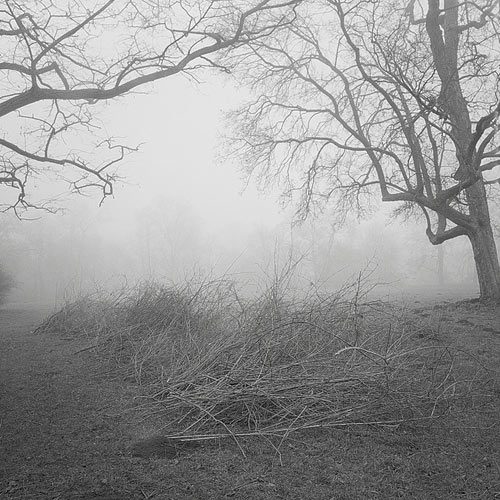eine Fotografie im Nebel