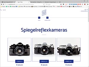Internetshops für analoge Fotografie